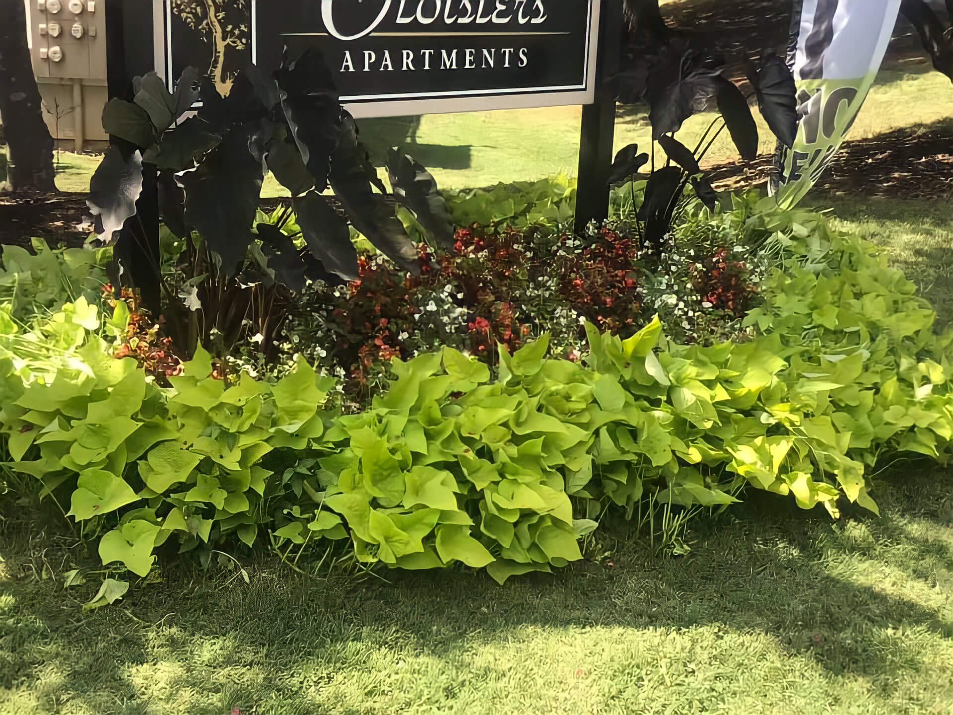gw_landscaping_photo-12
